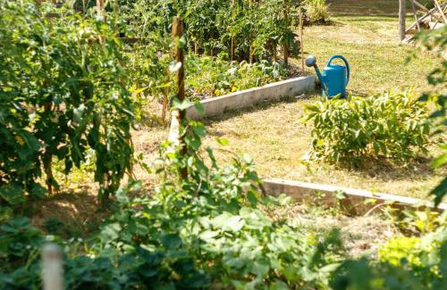 Eyliac Casa | L'Envol - Oasis Ressource