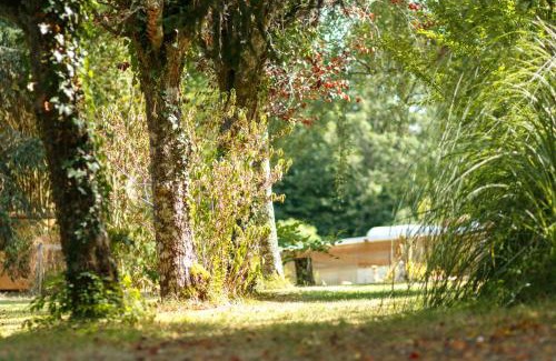 Eyliac Casa | L'Envol - Oasis Ressource