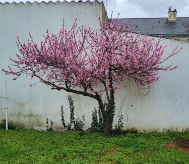 Doue-la-Fontaine Casa | L'escale des roses