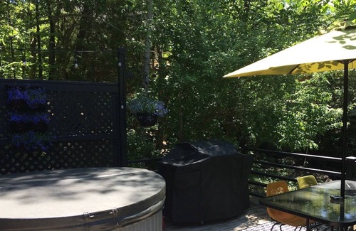 Lac-des-Plages Chalet De Esquí | L. Flamingo Riverfront Treehouse + Chalet Combo Propiedad