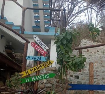 Puerto Ángel Hotel | La Aldea Zipolite