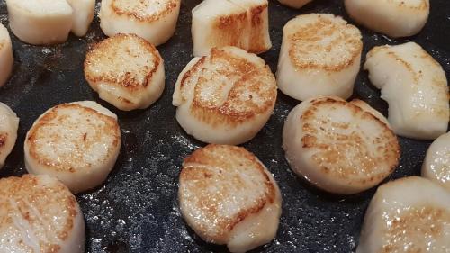 Saint-Molf Cama Y Desayuno | La Balade des Marais
