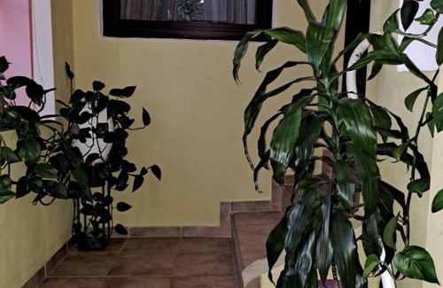Agnita Casa | La Bibicu