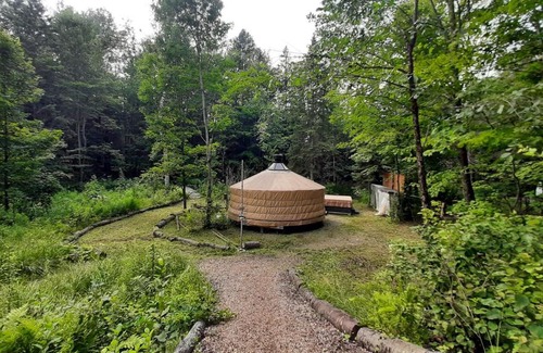 Mandeville Otro | La Bohémienne des yourtes du petit ruisseau