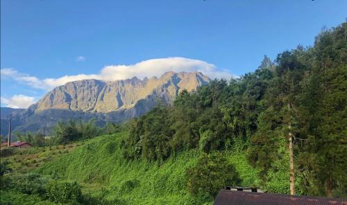 Salazie Casa | La Campierelle