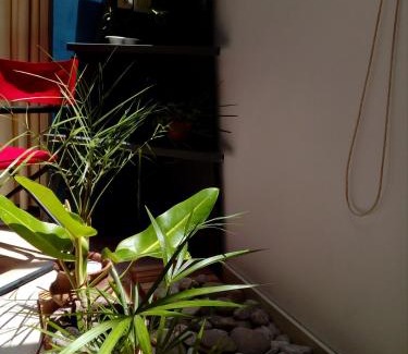 Rosario Apartamento | La Casa Azul - Arroyito Rio