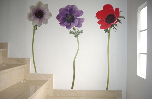 Anna Casa | LA CASA AZUL de Anna