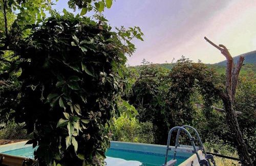 El Real de San Vicente Casa | La Casa de Cadia 2