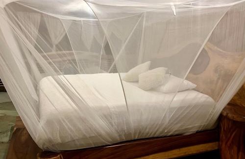 Arroyo Cruz Casa | La casa de los árboles frente a la playa con alberca