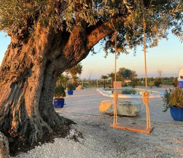 Écija Casa | La casa del olivo