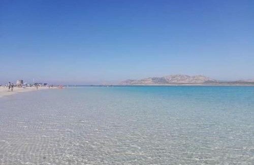 Centro Commerciale Apartamento | La casa delle janas