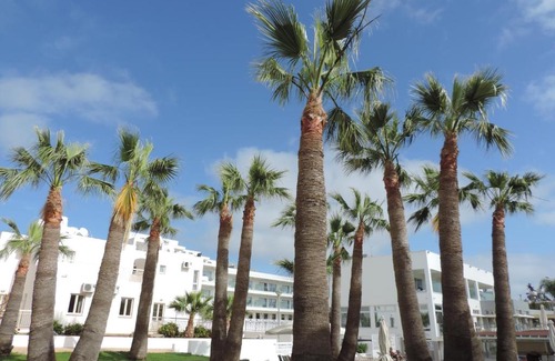 Ayia Napa Apartamento | La Casa Di Napa Apartments