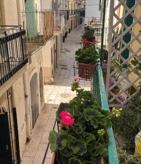 Mola di Bari Casa | La Casa di Nonna Sisina