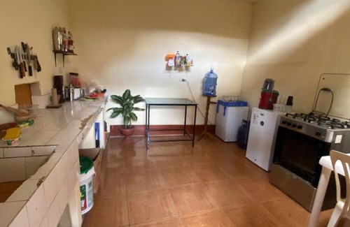 Lamas Cama Y Desayuno | La Casa Jaguar