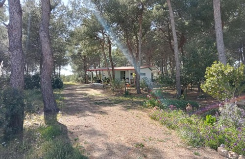 Maruggio Casa | La casa nella pineta
