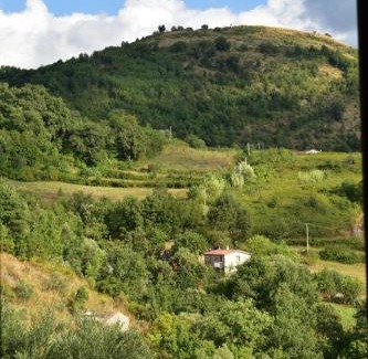 Verbicaro Cama Y Desayuno | La Casetta B&B