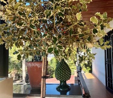 Torre del Greco Casa | La casetta bellevue suite