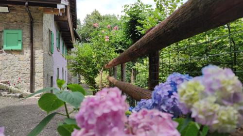 Gerosa Casa | La Casetta di Musita