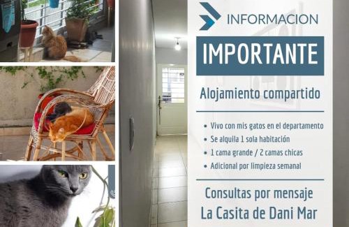 Tucumán Casa | La Casita de DaniMar