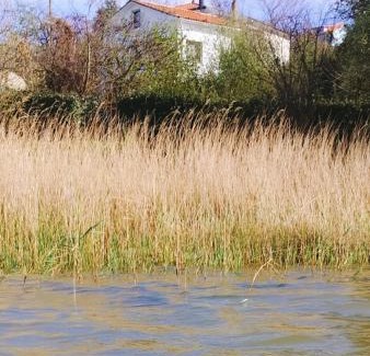 Pontejos Casa | La Casita de la bahía