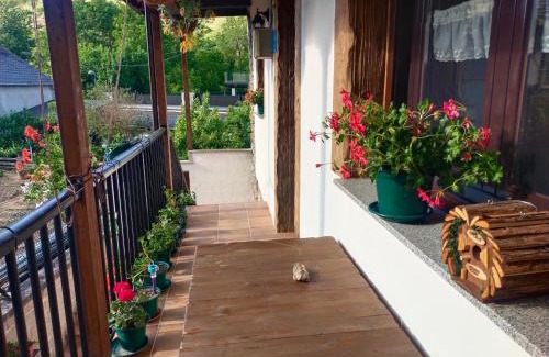 San Esteban de Valdueza Casa | La casita de la señora María