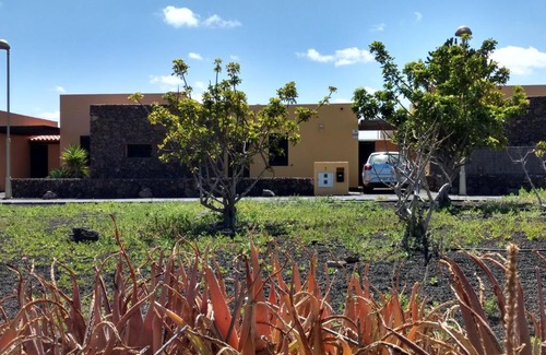 La Oliva Casa | La Casita
