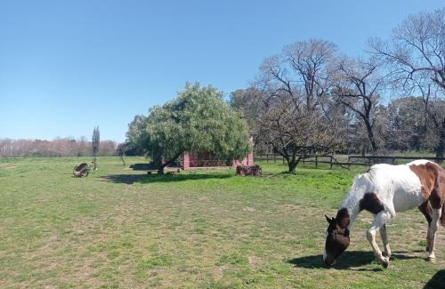 Pilar Centro Otro | La Chacra