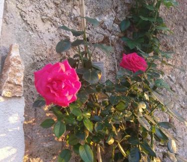 Navacelles Cama Y Desayuno | La chambre de Seraphin