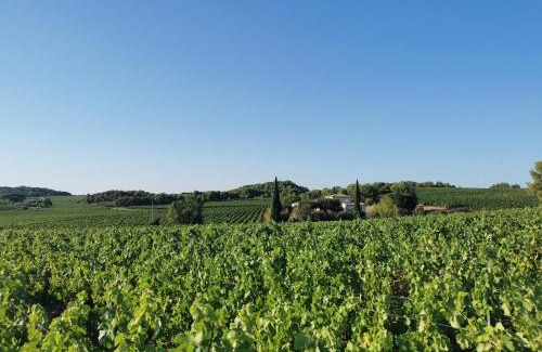 Castelnau-de-Guers Casa | La Chambre du Saunei