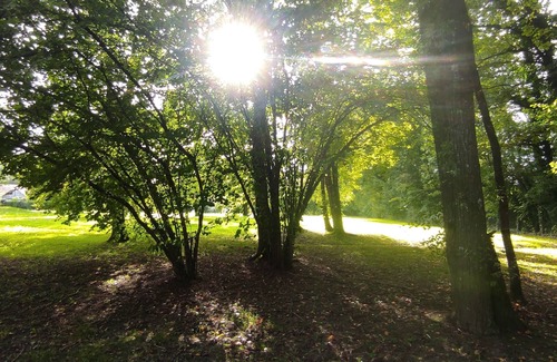 Saint-Etienne-en-Bresse Casa | La Demeure de l'Intendant - 15-person gîte with 9000m2 grounds and swimming pool