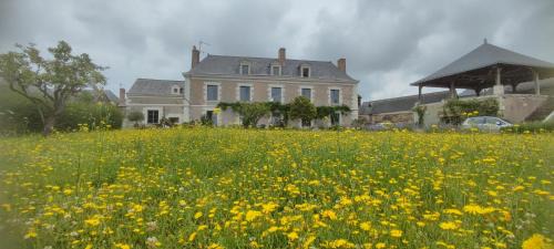 Saint-Melaine-sur-Aubance Cama Y Desayuno | La Demeure de l'Aubance