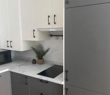 Ciudad Universitaria Apartamento | La esencia de Burgos