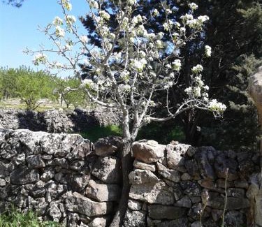 Santeramo in Colle Casa | La Ferula Bed&Pool