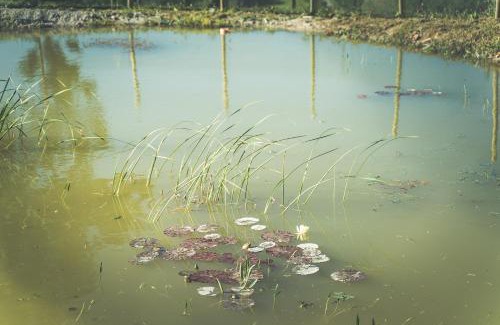 Il Poggio Villa | LA FORNACE