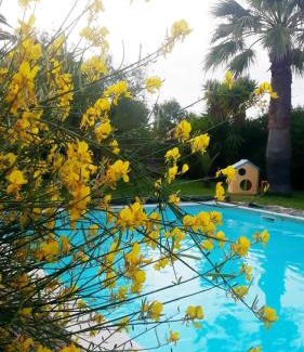 Trani Cama Y Desayuno | La Ginestra
