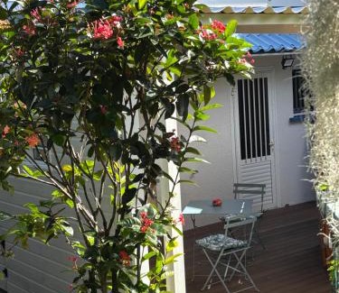 Petite-ÃŽle Apartamento | La Kaz Iléou