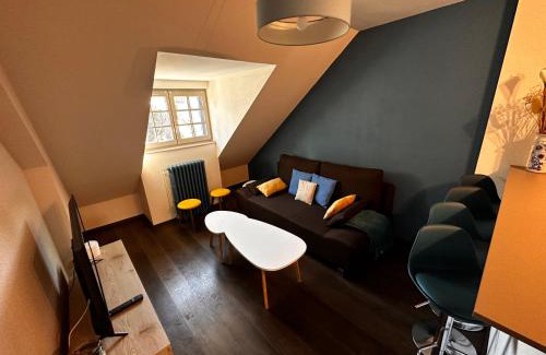 Vic-sur-Cere Apartamento | La Maison aux Volets Bleus 3ème Étage