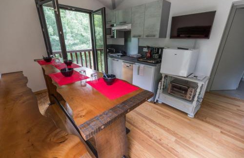 Leon Casa | La maison de grand-pere, appt cote lac