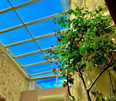 Dions Villa | La maison du Bougainvillier 10 personnes