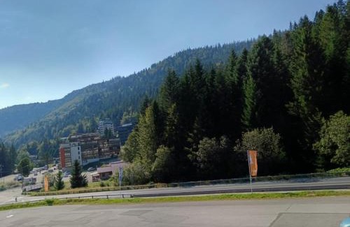 La Bresse Apartamento | La marmotte