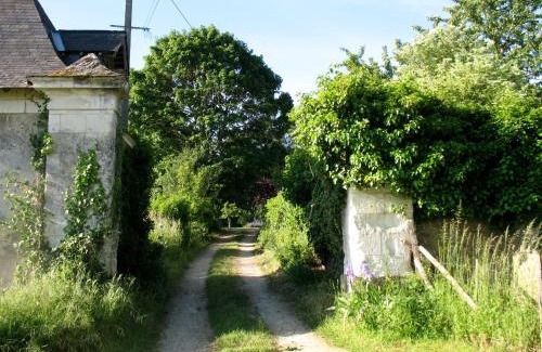 Jarze Cama Y Desayuno | La Mesnagerie