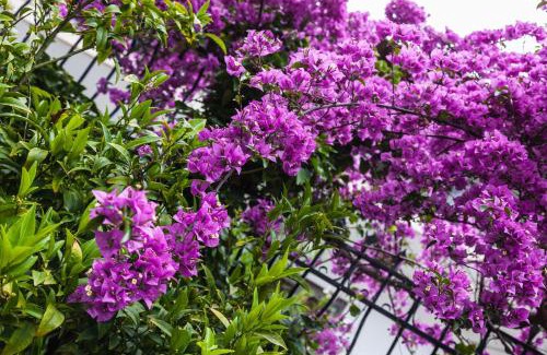 Neos Marmaras Apartamento | La Mira House