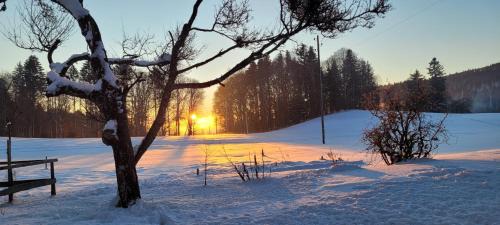 Provence Cama Y Desayuno | La Montagne devant