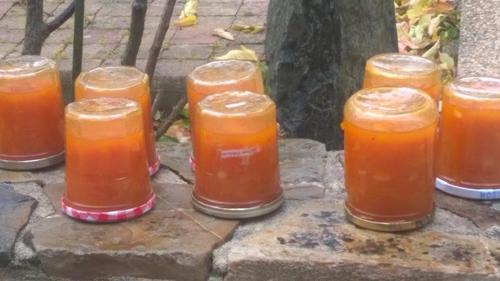 La Bouexiere Casa | La P'tit' Fugue