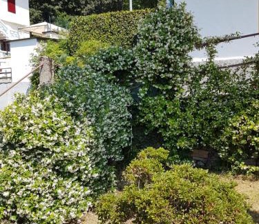 Comero Casa | La Palma