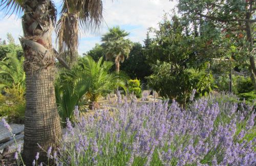 Salles-d'Aude Cama Y Desayuno | La palmeraie