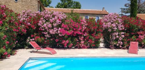 Lagnes Cama Y Desayuno | La Pastorale