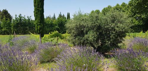Lagnes Cama Y Desayuno | La Pastorale