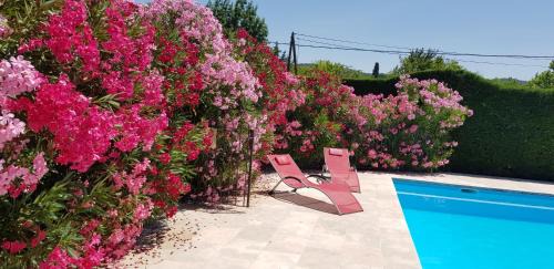 Lagnes Cama Y Desayuno | La Pastorale