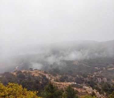 Vilanova de Prades Apartamento | La PenAlta - Allotjament enoturístic - Vilanova de Prades